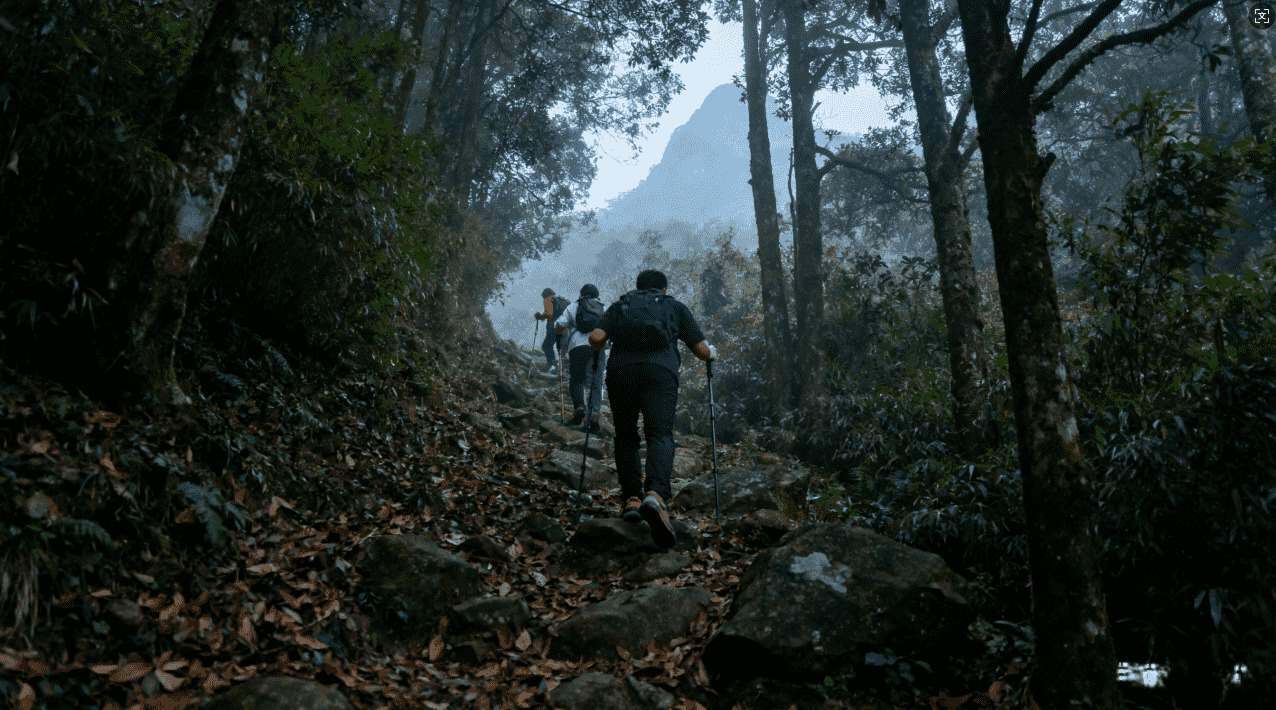 提升网络速度的谷链梯子加速器方案